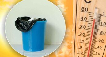 Troppo caldo, il secchio della spazzatura puzza eccessivamente! Io risolvo il problema con un semplice ingrediente