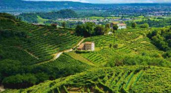 Il weekend d’estate più bello? Alla scoperta delle colline del Prosecco: cosa vedere tra Valdobbiadene e dintorni